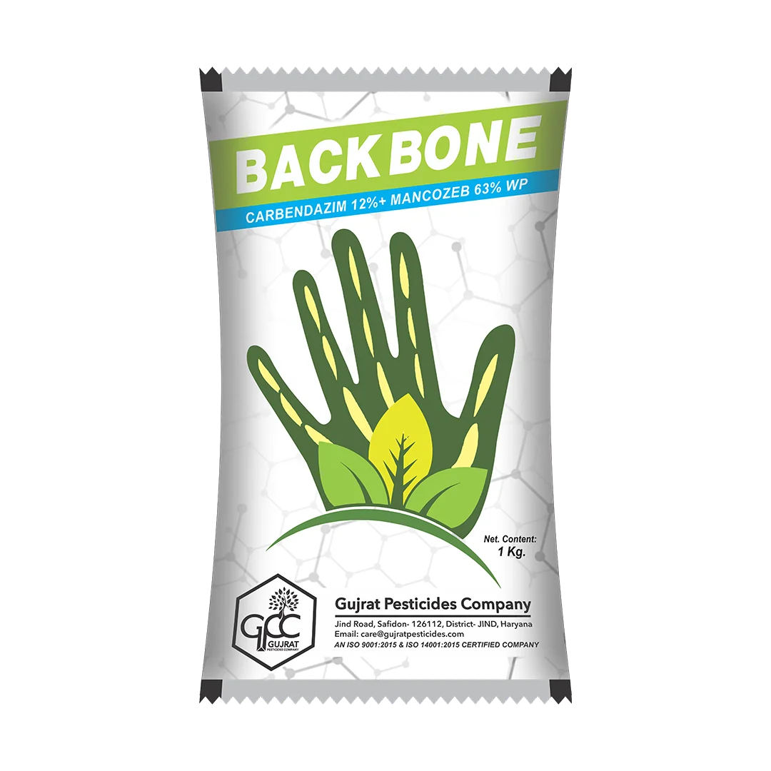 BACKBONE
